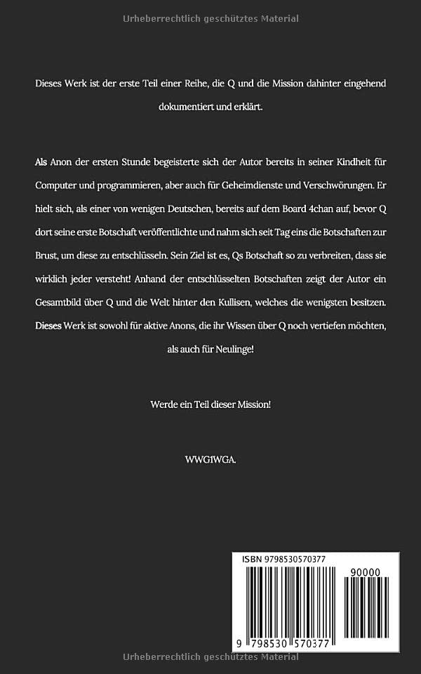 Q: Das Große Erwachen (Die Q Reihe)