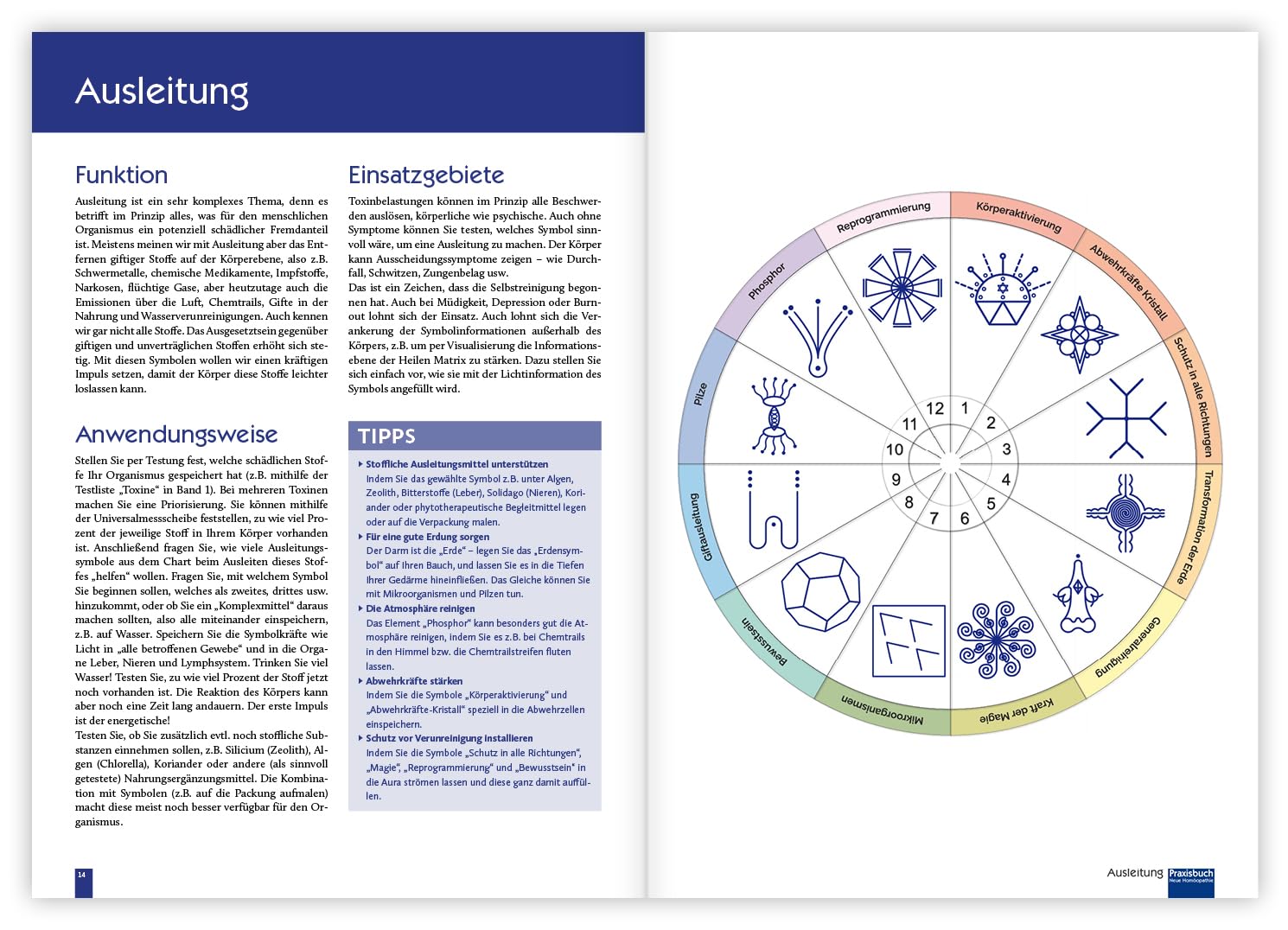 Praxisbuch Neue Homöopathie. Band 2: 20 Neue Testlisten Für Den Einsatz in Der Pendel-, Tensor- Oder Kinesiologie-Praxis