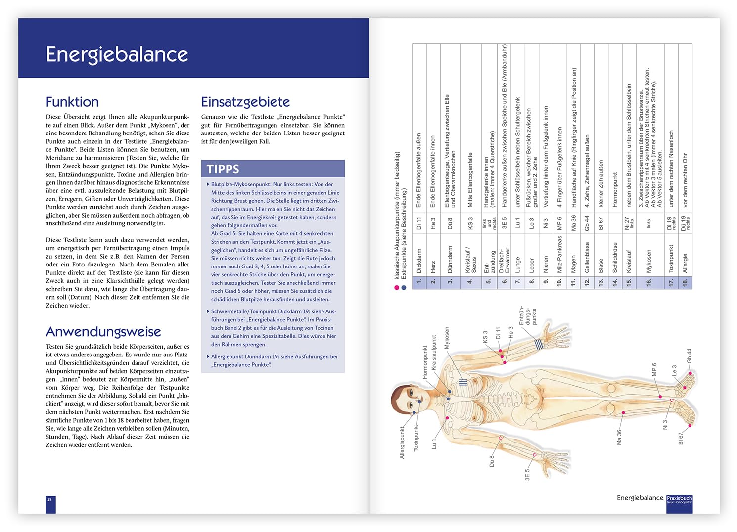 Praxisbuch Neue Homöopathie: 20 Bewährte Testlisten Für Den Einsatz in Der Pendel-, Tensor- Oder Kinesiologie-Praxis