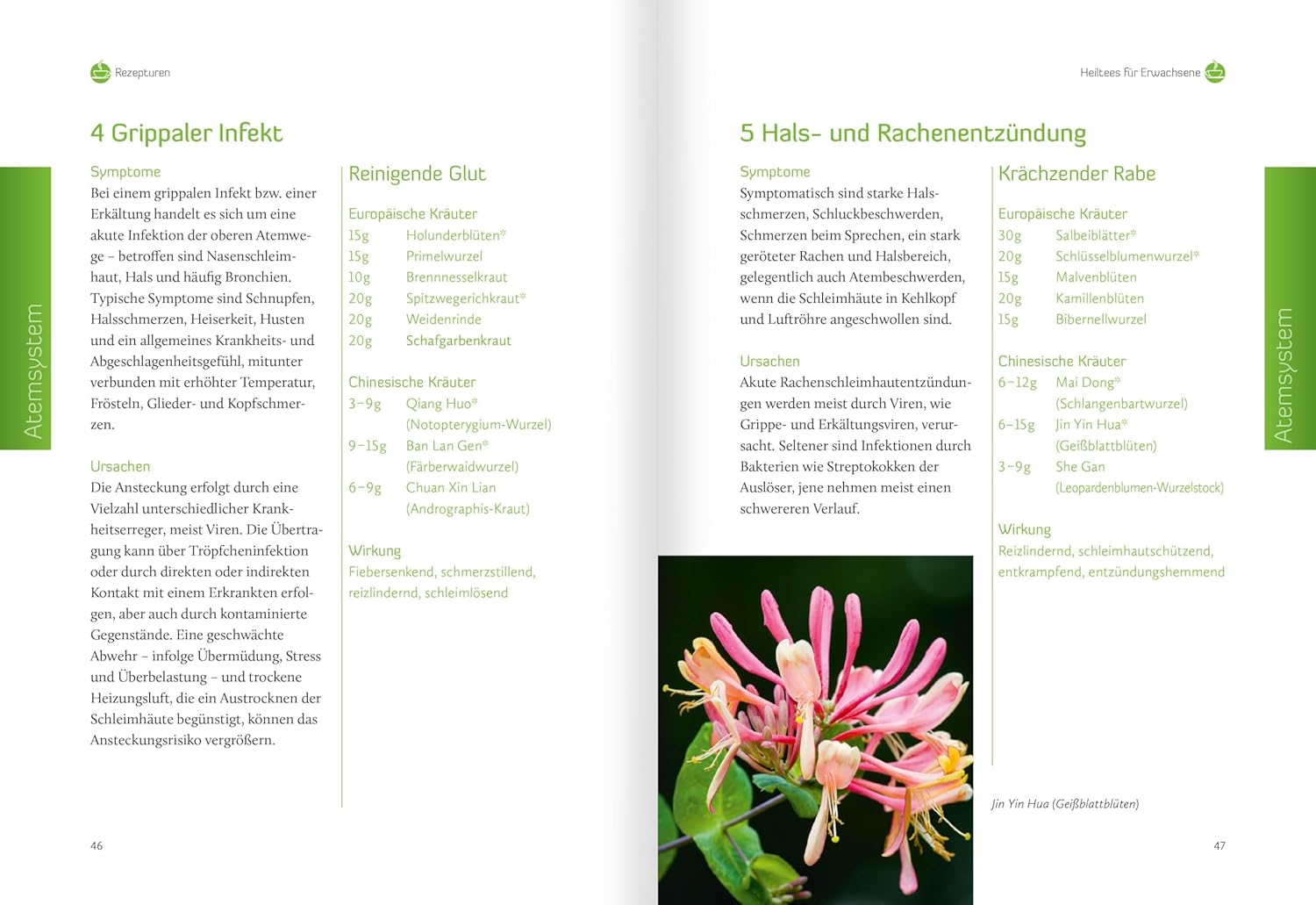 Heiltees Für Körper, Geist Und Seele: Über 300 Wirksame Rezepturen Aus Den Traditionellen Heilkulturen Chinas Und Europas