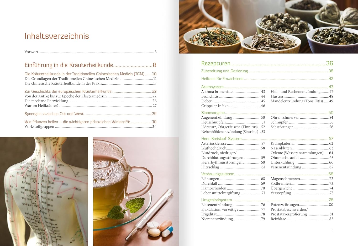 Heiltees Für Körper, Geist Und Seele: Über 300 Wirksame Rezepturen Aus Den Traditionellen Heilkulturen Chinas Und Europas