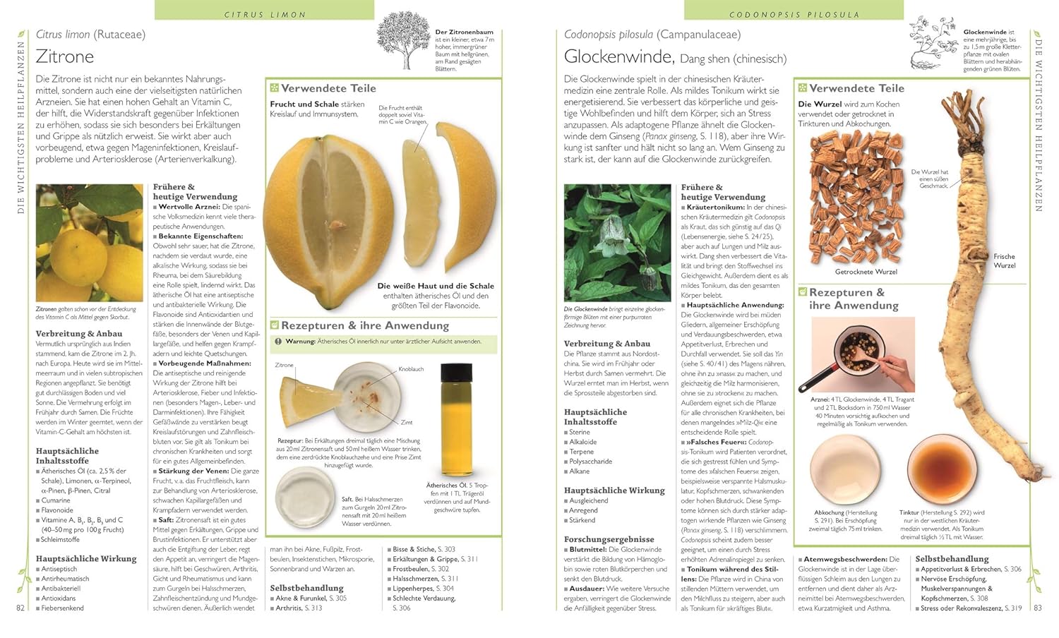 Das Große Lexikon Der Heilpflanzen: 550 Pflanzen Und Ihre Anwendungen