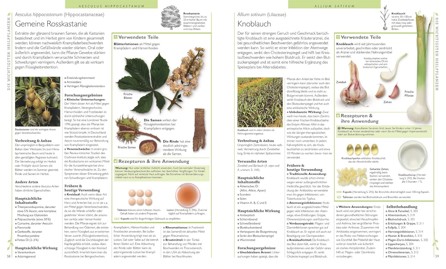 Das Große Lexikon Der Heilpflanzen: 550 Pflanzen Und Ihre Anwendungen