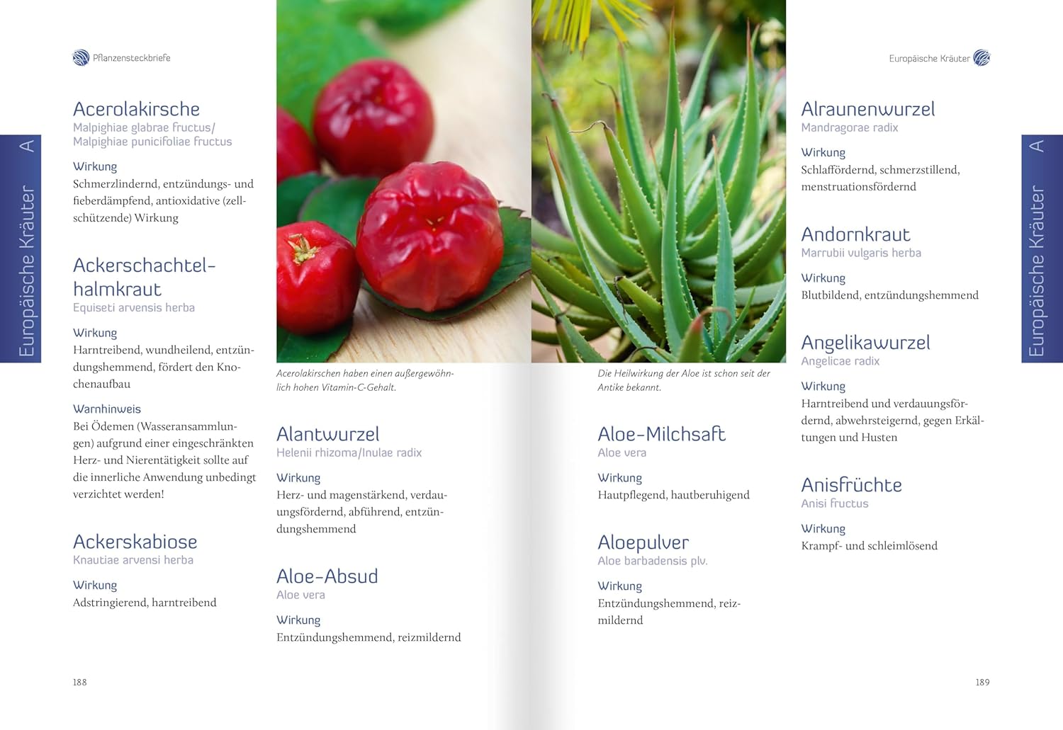 Heiltees Für Körper, Geist Und Seele: Über 300 Wirksame Rezepturen Aus Den Traditionellen Heilkulturen Chinas Und Europas