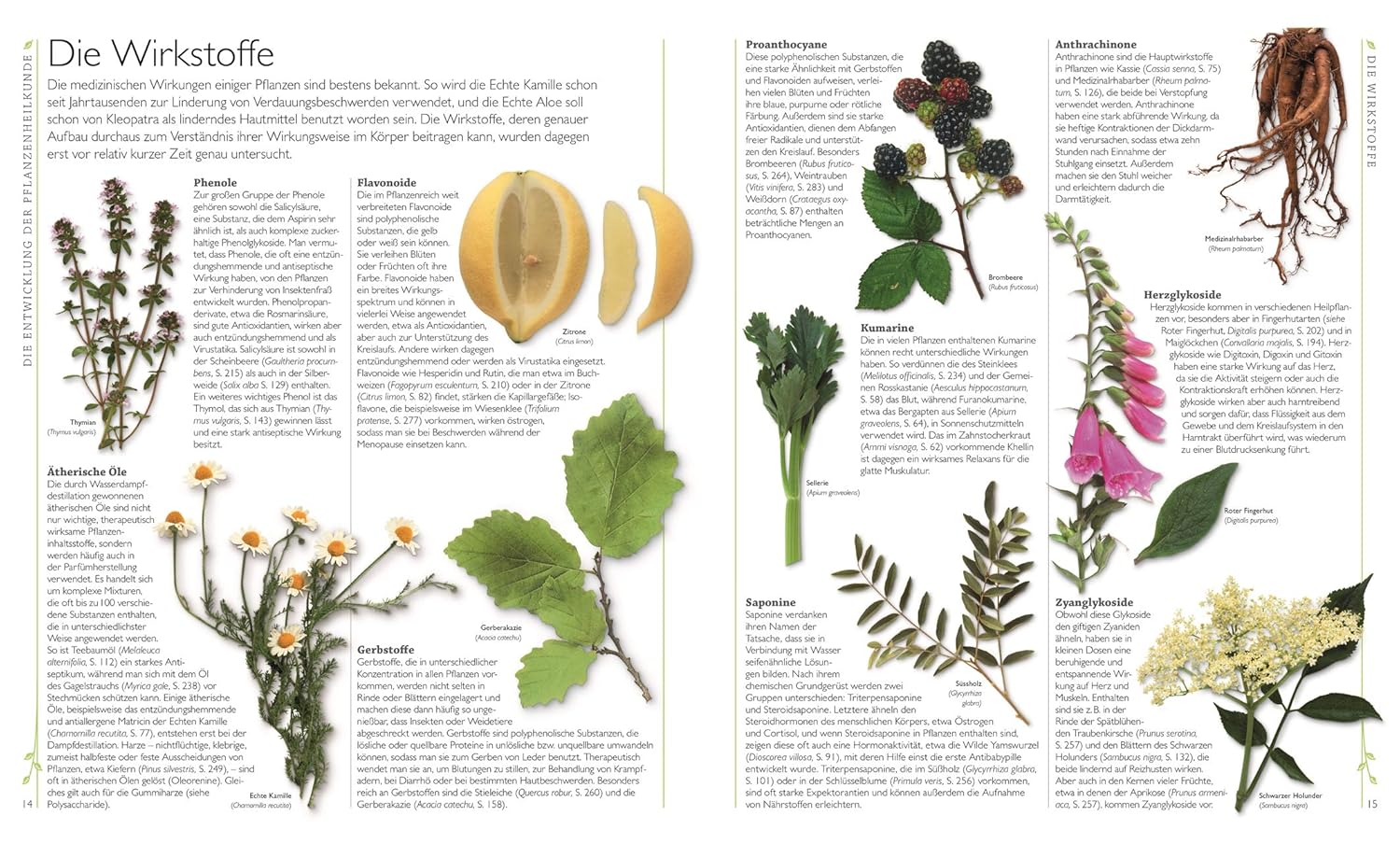 Das Große Lexikon Der Heilpflanzen: 550 Pflanzen Und Ihre Anwendungen